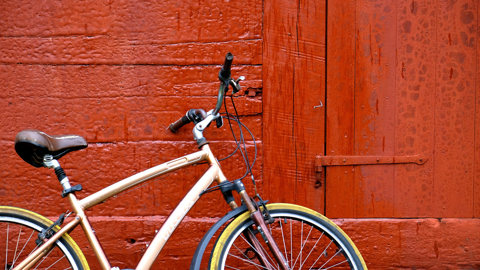 Serena Tang bikes in Iceland (Photo by Serena Tang)