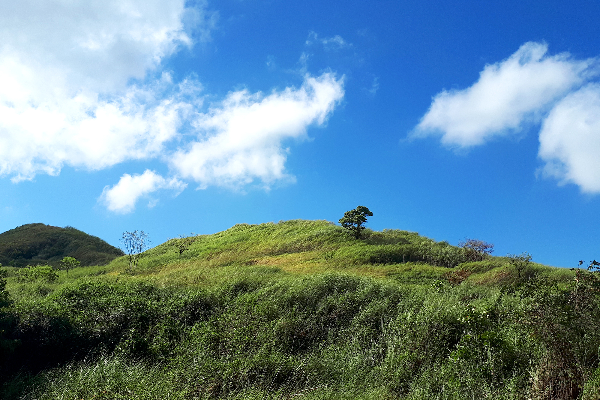 Bugarin Climb View